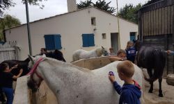 Sejour Ete   053